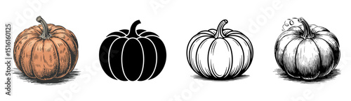 set of vector illustrations of pumpkins, representing autumn gourds, Halloween and the fall harvest.
