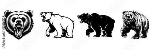set of roaring bear vector illustrations, grizzly mammal wildlife and nature predator 
