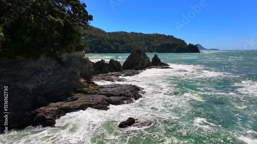 Wallpaper Mural Moody Aerial beech Unspoilt jagged rocky coastline—turquoise waves crash against cliffs, windswept trees cling to edges, sunlight flickers across the wild, untouched shore. Drone New Zealand native Torontodigital.ca