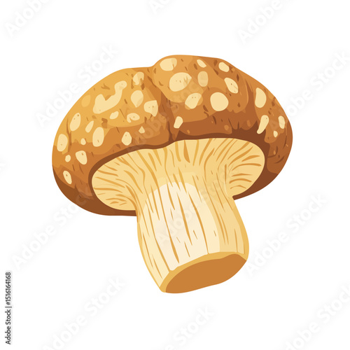 My Simple flat 2D icon, whole sunchoke isolated on a transparent background, vector, flat design, animation design, simple flat 2D icon, minimalist design, clipart. eps
