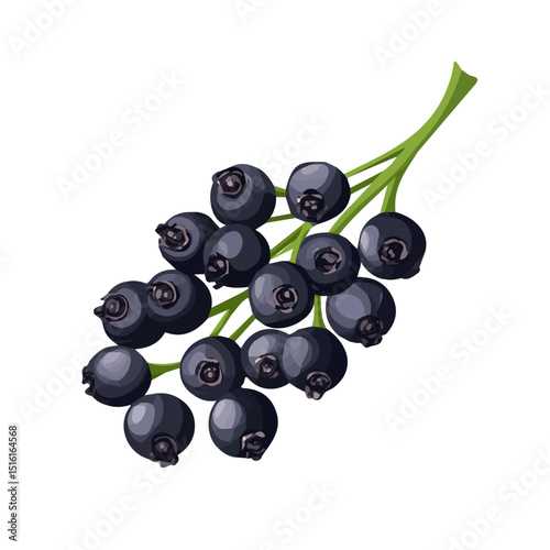 My Simple flat 2D icon, black peppercorns bunch isolated on a transparent background, vector, flat design, animation design, simple flat 2D icon, minimalist design, clipart. eps