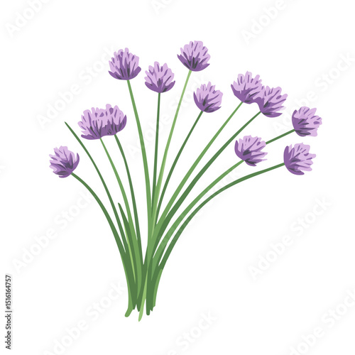 My Simple flat 2D icon, chives bunch isolated on a transparent background, vector, flat design, animation design, simple flat 2D icon, minimalist design, clipart. eps