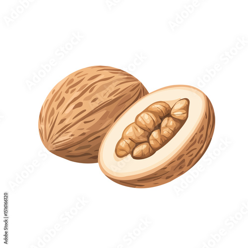 My Simple flat 2D icon, nutmeg isolated on a transparent background, vector, flat design, animation design, simple flat 2D icon, minimalist design, clipart. eps