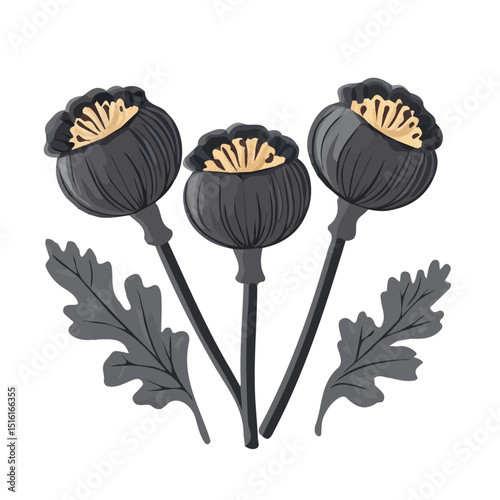 My Simple flat 2D icon, poppy seeds group isolated on a transparent background, vector, flat design, animation design, simple flat 2D icon, minimalist design, clipart. eps