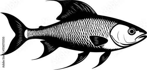 "Fish Silhouette Art – Minimalist Aquatic Design Featuring Bold Marine Shapes for Nautical Decor and Creative Graphic Projects"