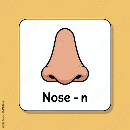 Illustrated anatomy card depicting a human nose with the word nose beneath it ideal for educational purposes and learning about the human body