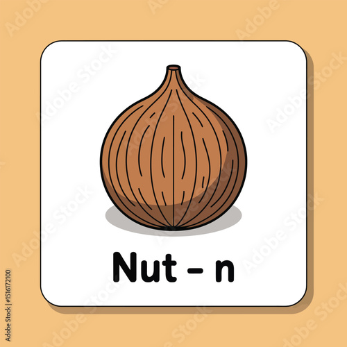 Educational flashcard depicting a nut simple illustration for learning and teaching materials  including food and alphabet concepts