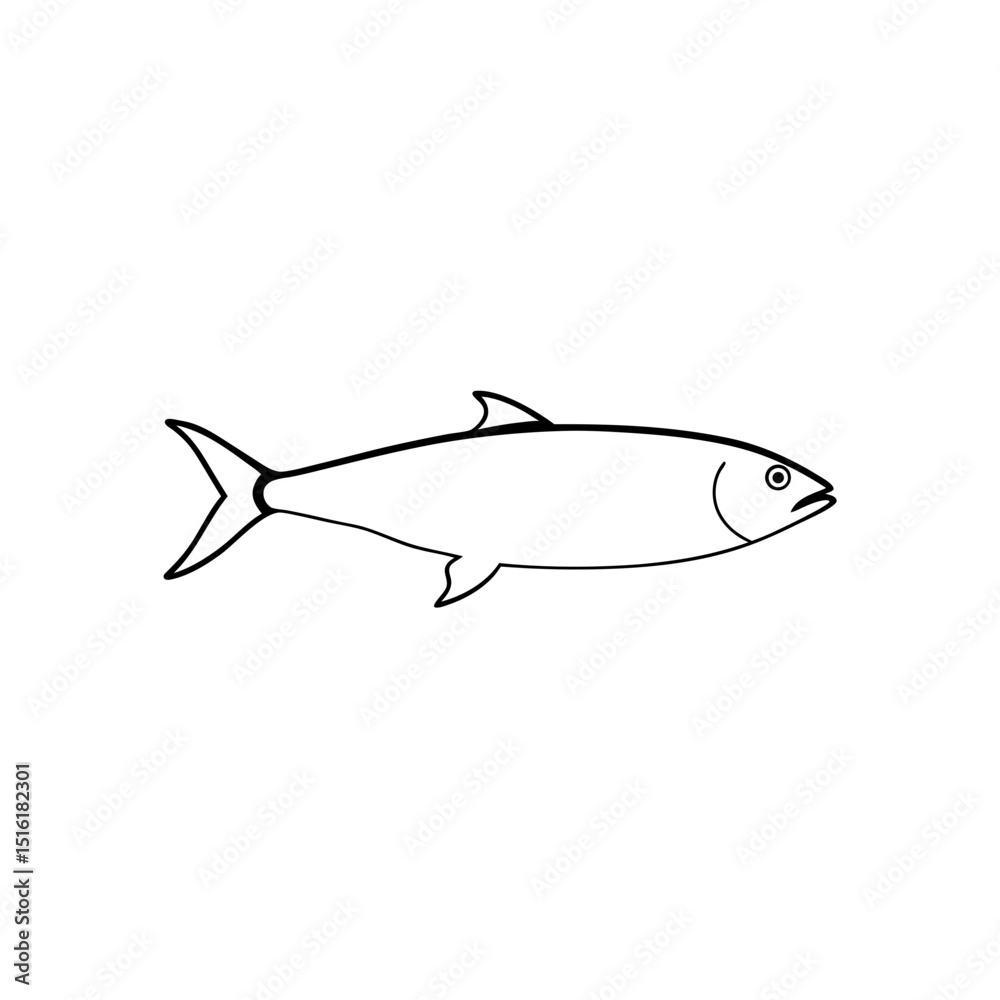 Obraz premium Classic Herring Fish Marine Wildlife Ocean Food Illustration