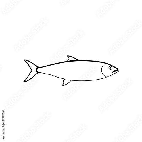 Classic Herring Fish Marine Wildlife Ocean Food Illustration