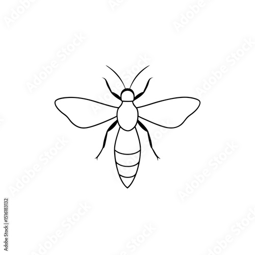 Dangerous Hornet Insect Wasp Flying Bug Wildlife Illustration