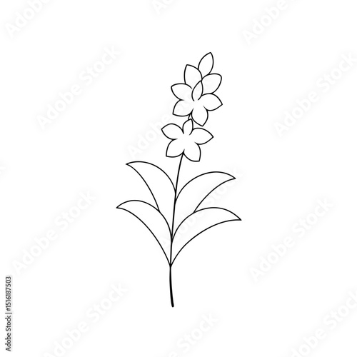 A Purple Larkspur Flower A Tall And Spiky Summer Blossom On A White Canvas