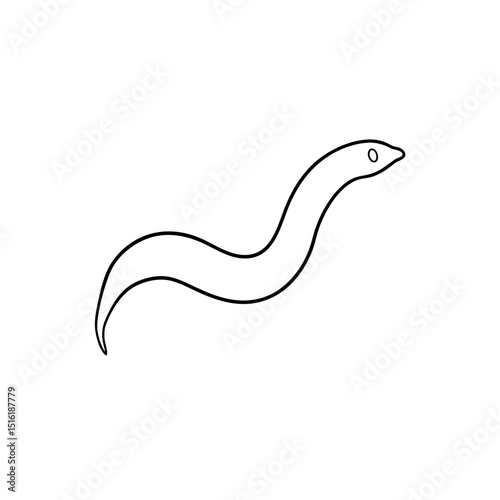A Leech A Segmented And Blood Sucking Worm On An Isolated White Floor