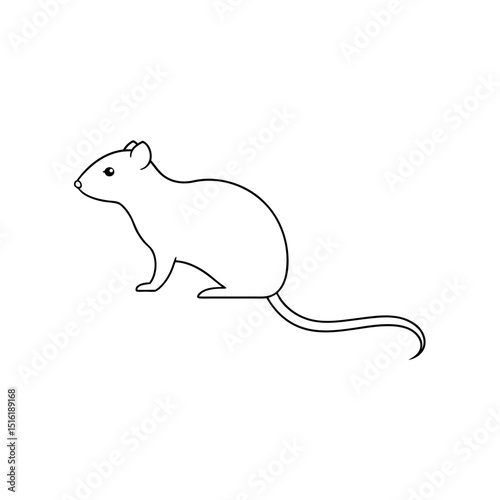 The Long Tailed Vole A Small Rodent From North America On A White Background