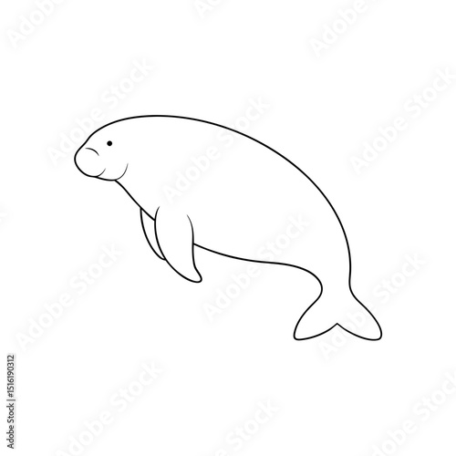 The Florida Manatee A Large Aquatic Mammal Found In Florida On A White Floor