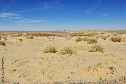 Nature of Sahara Desert, Mauritania, West Africa