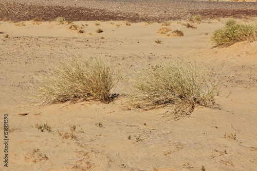 Nature of Sahara Desert, Mauritania, West Africa