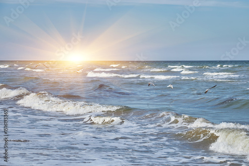 Fototapeta Naklejka Na Ścianę i Meble -  Sandy Beach with Seaweed and Waves