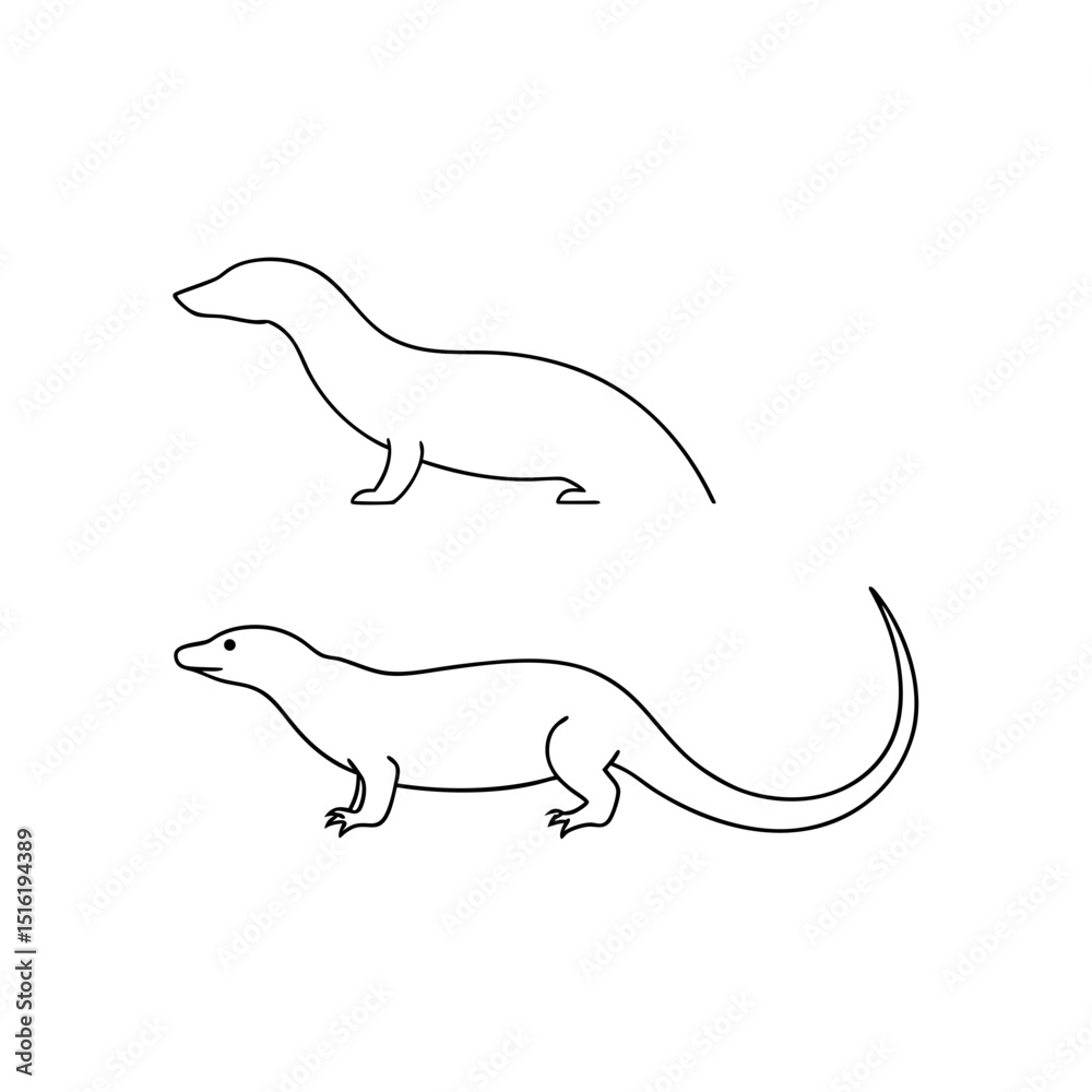 Fototapeta premium A Komodo Dragon The World Largest Lizard On An Isolated White Surface