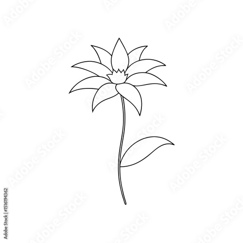 A Red Monarda Or Bee Balm Flower A Fragrant Perennial On A White Floor