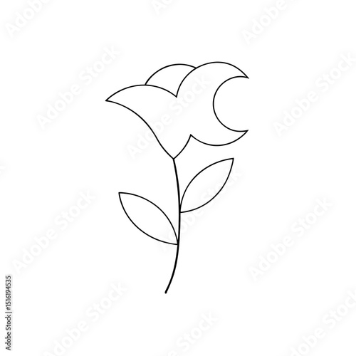A White Moonflower A Fragrant Night Blooming Flower On A White Background