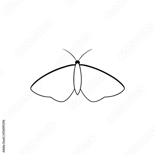 A Simple Brown Moth A Nocturnal Insect With Feathery Antennae On White