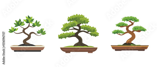 Bonsai Tree Collection Miniature Trees Japanese Bonsai Potted Plants Green Foliage Tranquil Nature