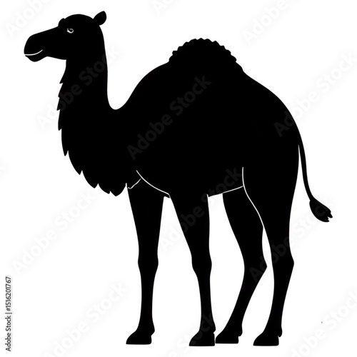 camel vector illustration