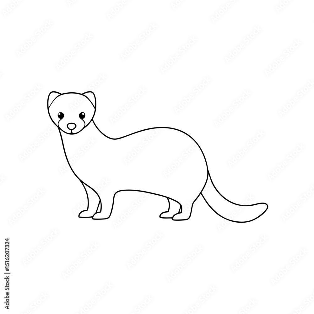 Obraz premium The European Polecat A Small Carnivorous Mammal On A Simple White Background