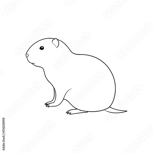 The Prairie Vole A Small North American Rodent On An Isolated White Floor