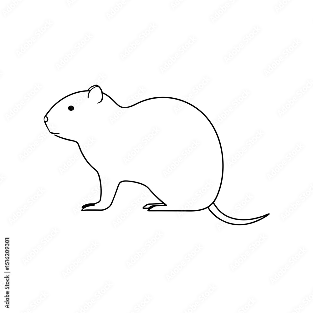 Obraz premium A Prehensile Tailed Hutia A Large Caribbean Rodent On A White Background
