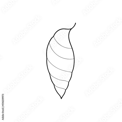 An Insect Pupa The Life Cycle Stage Before Adulthood On A White Background