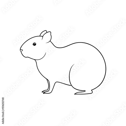 Agile Red Rumped Agouti Illustration for South American Wildlife