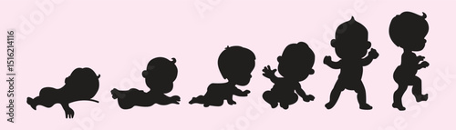 baby growth diagram picture vector illustration