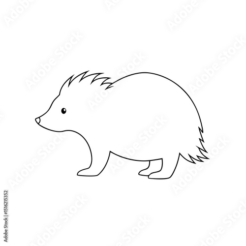 Rare Rothschild s Porcupine Illustration for African Wildlife Studies and Art