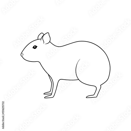 Rare Roatan Island Agouti Illustration for Honduran Wildlife Studies and Art