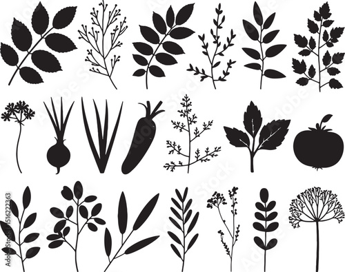 Collection of black silhouettes botanical herbs vegetables