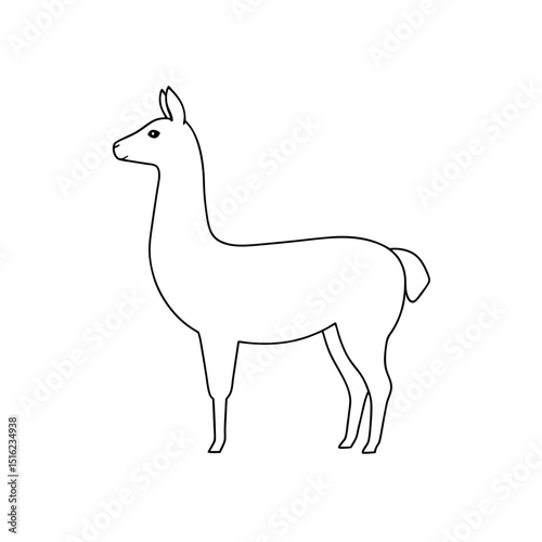 Vicuña on White Background: South American Camelid Illustration