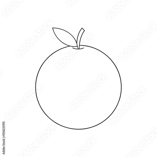 White Sapote on White Background: Tropical Fruit Illustration