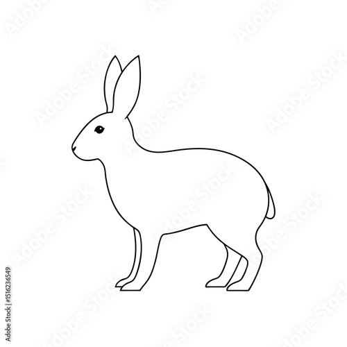 Yarkand Hare on White Background: Wild Rabbit Illustration