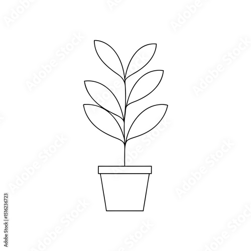 ZZ Plant Image on White Background: Perfect Houseplant Illustration