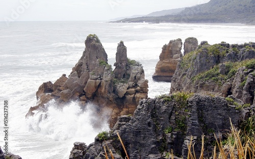 Paparoa National Park - Punakaiki, Northwest Coast, South Island, New Zealand