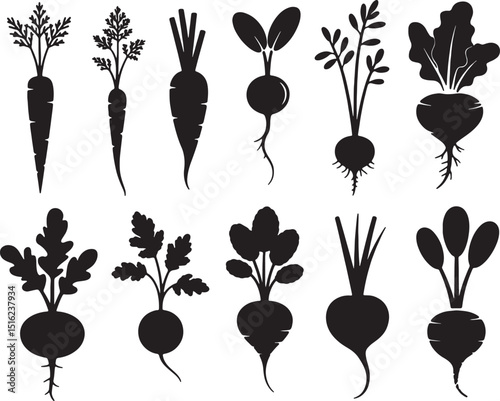 Black silhouettes of root vegetables carrots turnips