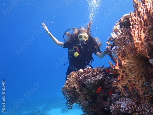 Diving. Scuba diving in the sea. Red Sea. Underwater world.