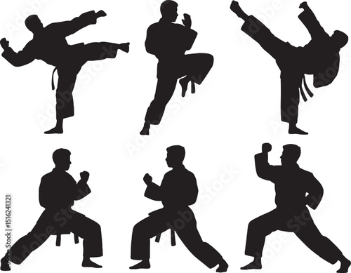 Karate martial arts silhouettes action poses