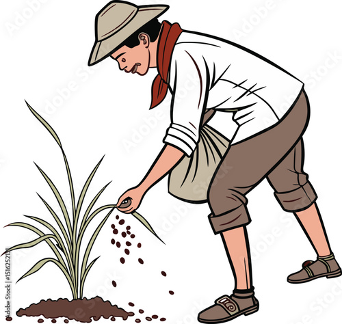 vector Design of Farmer planting rice 