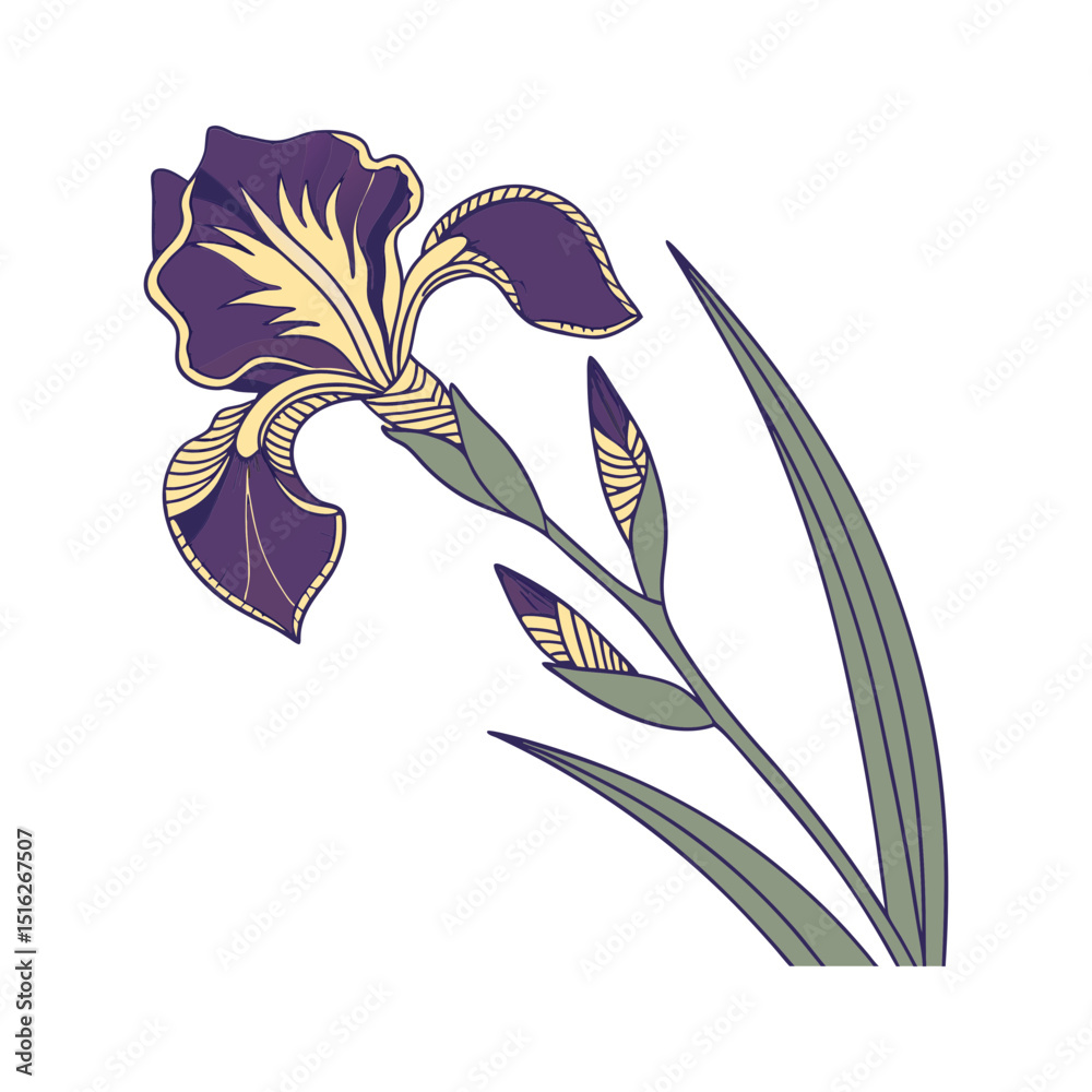 Naklejka premium Elegant purple and yellow iris flower with buds and leaves