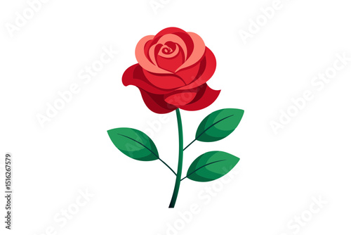 Single red rose with green leaves on white background