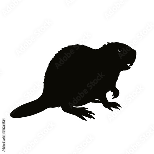 Silhouette of a beaver standing on its hind legs in profile  