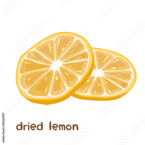 Vector cartoon illustration of dried lemon fruit with lettering isolated on white background.	