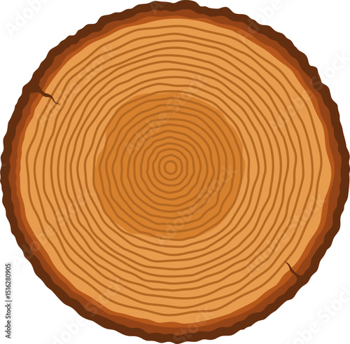 Tree trunk with ring illustration 